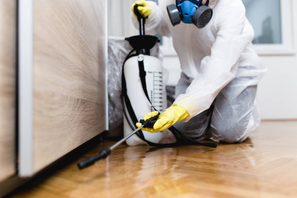 Best Ant Control Services  in Edcouch, TX