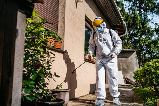 Best Ant Control Services  in Edcouch, TX