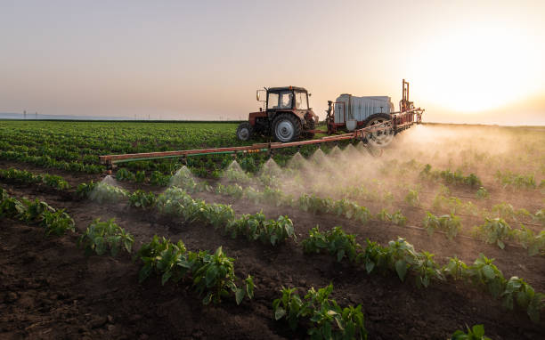 Best Mosquito Control Services  in Edcouch, TX