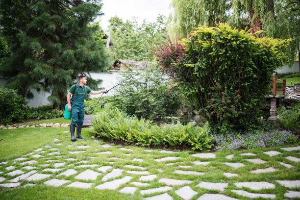 Best Pest Control for Homes  in Edcouch, TX