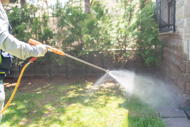 Best Best Pest Control Companies  in Edcouch, TX