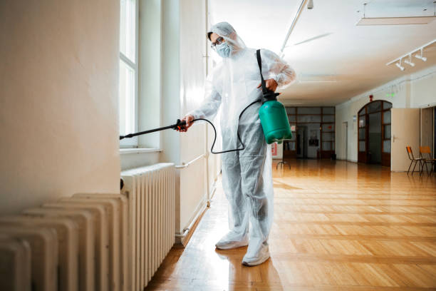 Best Cockroach Control Services  in Edcouch, TX