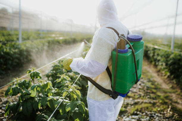 Professional Pest Control in Edcouch, TX